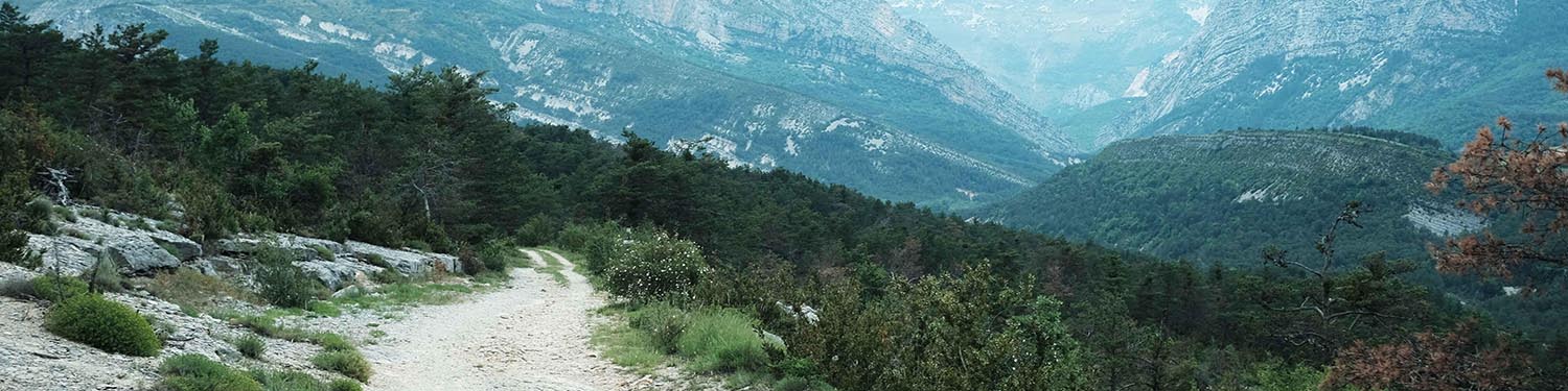 custom-made bikepacking